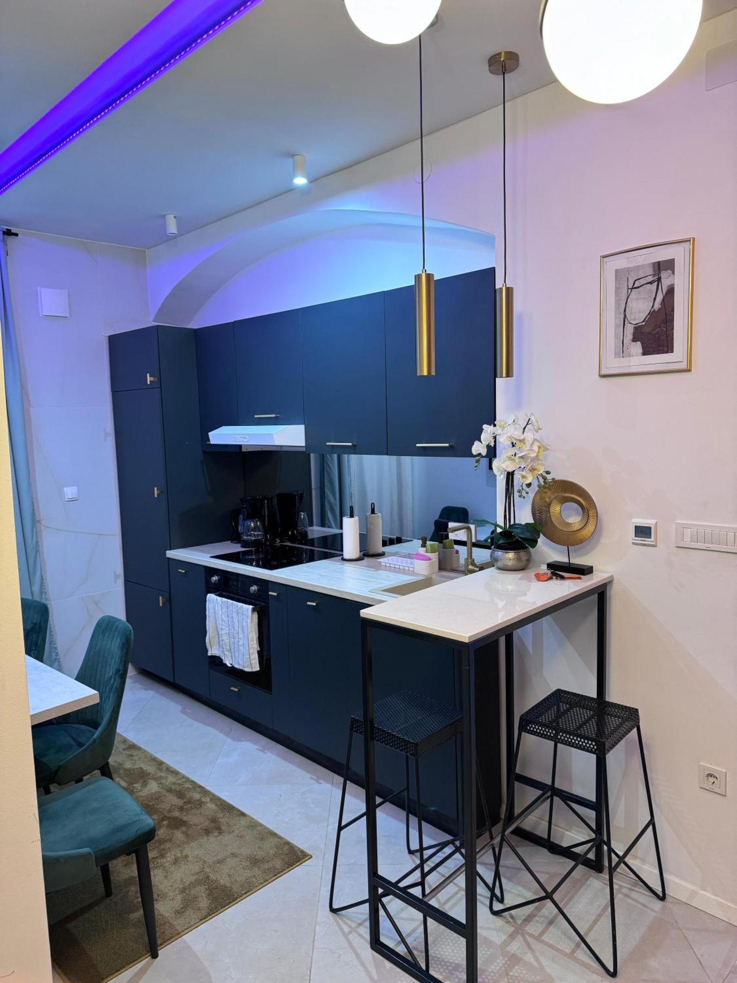Roberto Boutique Studio Apartman ザグレブ エクステリア 写真